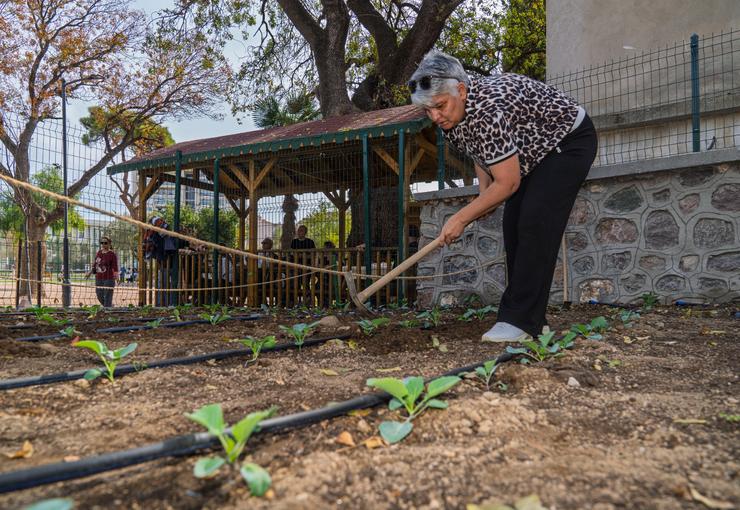 İki yıl önce beyin sapı kanaması geçiren 50 yaşındaki Sevim