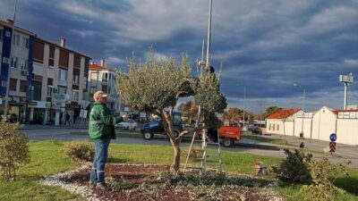 Ayvalık Belediyesi Park ve Bahçeler Müdürlüğü denilince akla yalnızca çiçekler,