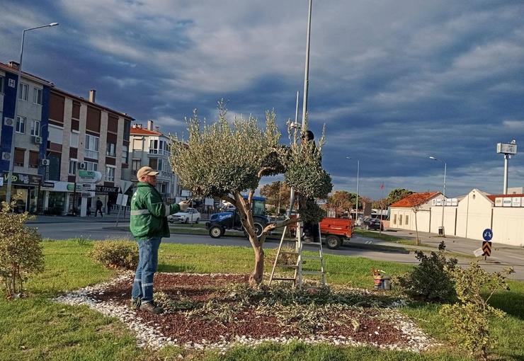 Ayvalık Belediyesi Park ve Bahçeler Müdürlüğü denilince akla yalnızca çiçekler,