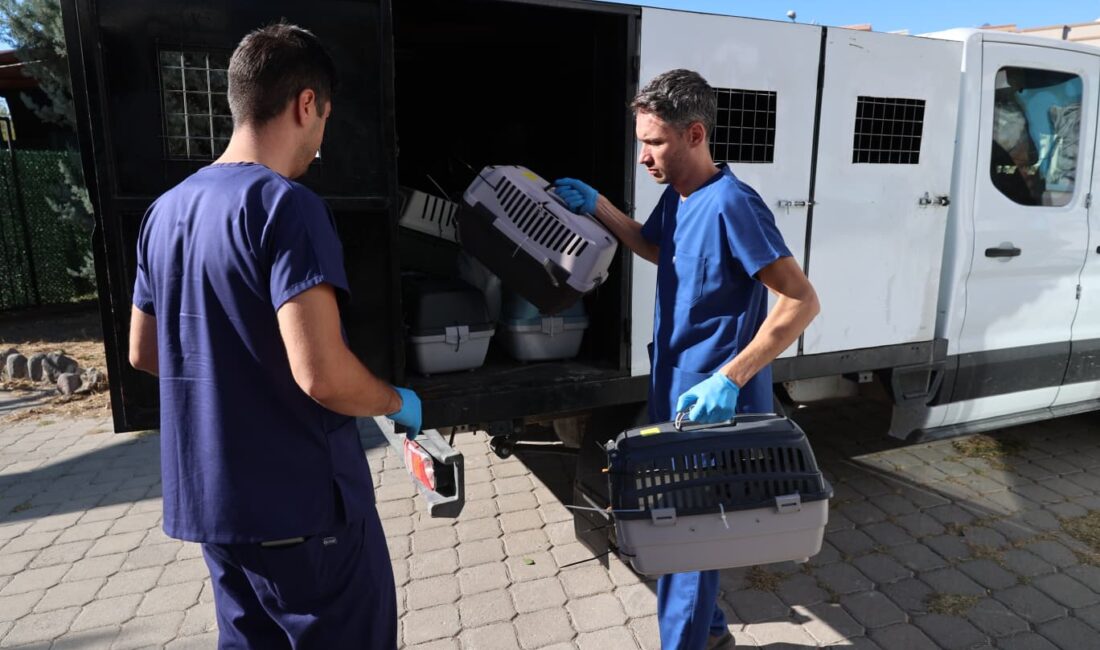 Buca Belediyesi, Sokak Hayvanları Rehabilitasyon Merkezi’nde sahipli hayvanlara çip takıldığı