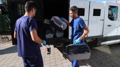 Buca Belediyesi, Sokak Hayvanları Rehabilitasyon Merkezi’nde sahipli hayvanlara çip takıldığı