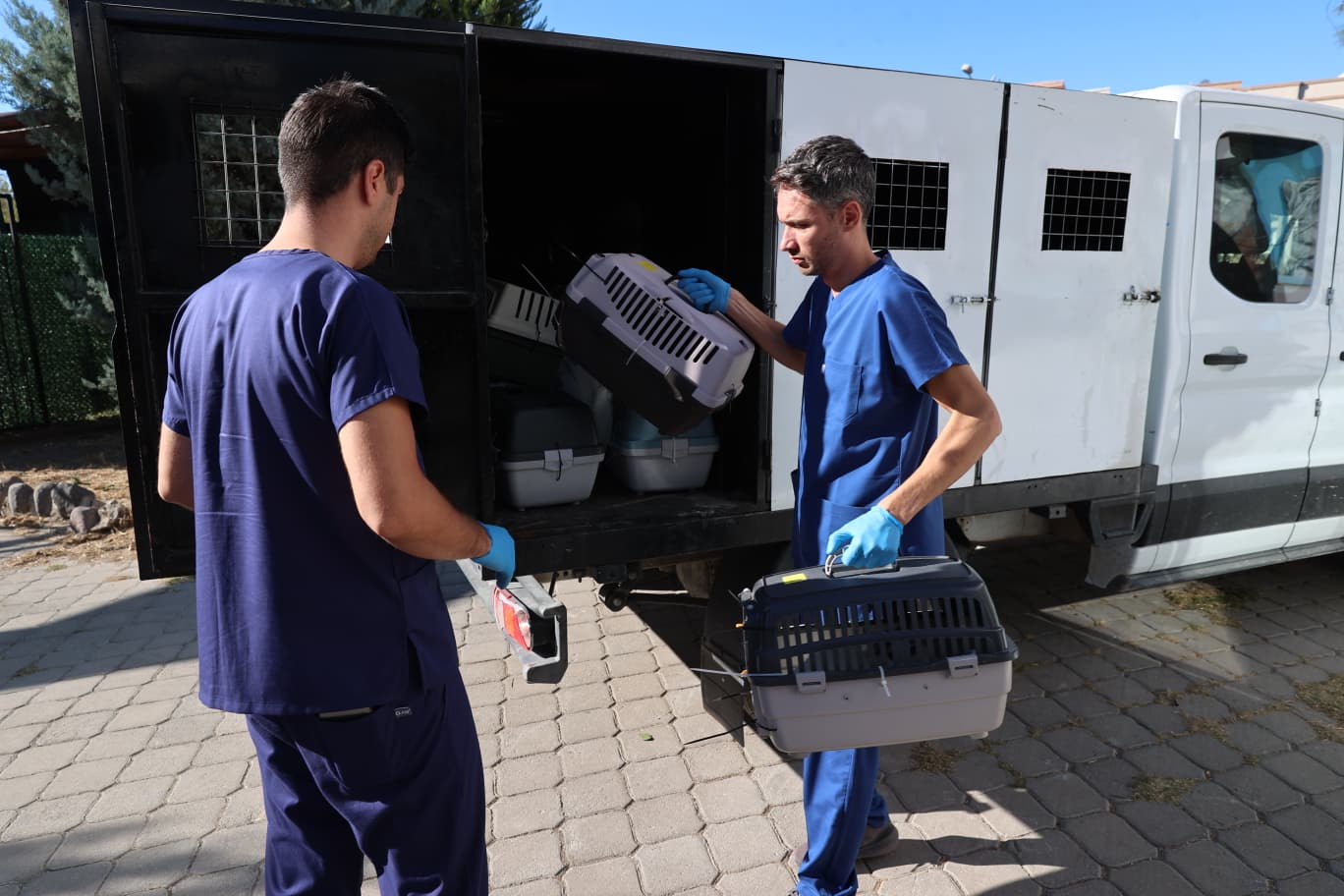 Buca Belediyesi, Sokak Hayvanları Rehabilitasyon Merkezi’nde sahipli hayvanlara çip takıldığı
