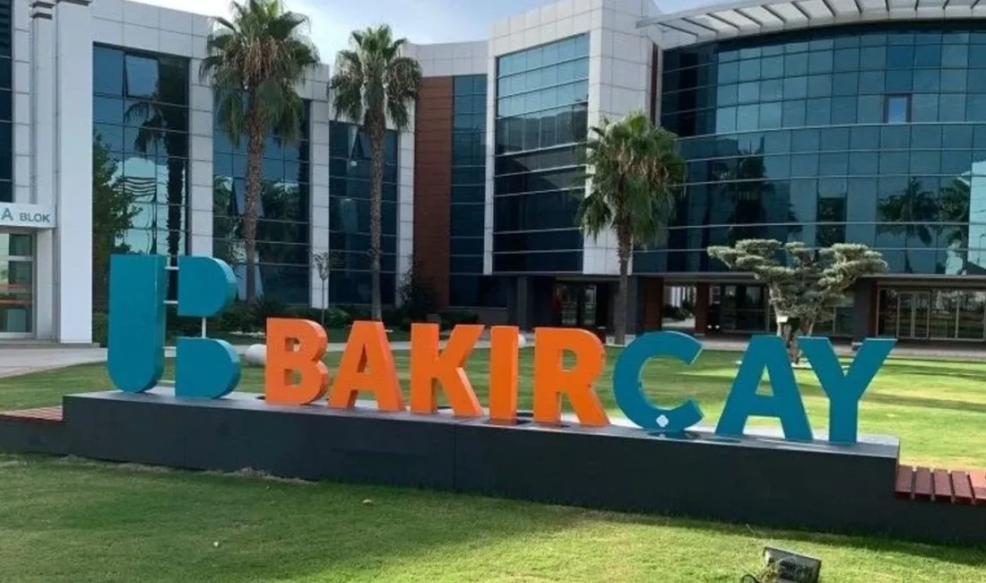 İzmir Bakırçay Üniversitesi, 25 öğretim üyesi ve 3 öğretim elemanı