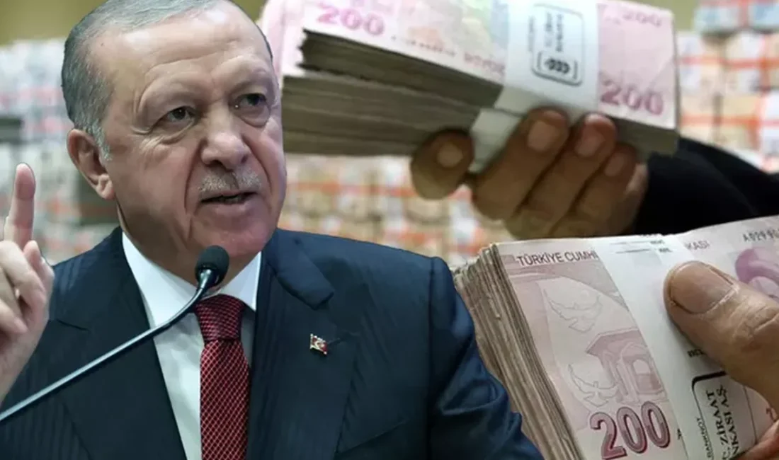 Kulis bilgilerine göre Erdoğan, fon krizinden hemen önce sistemden çıkan
