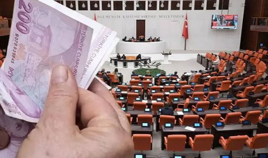 Tasfiye kapsamındaki 7 yatırım fonunda 235 bin 705 yatırımcıya toplam