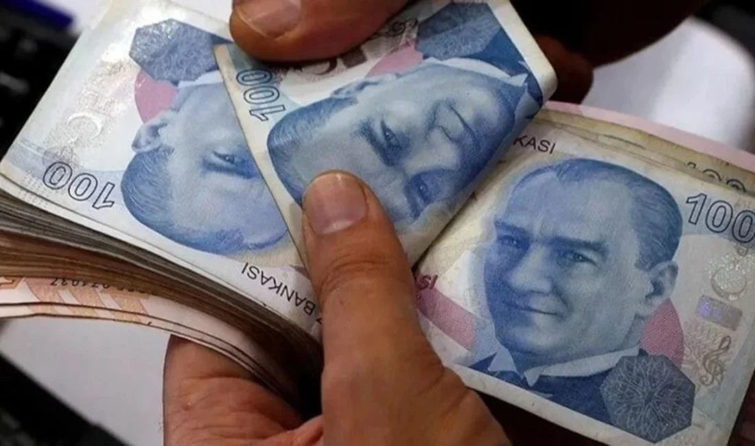 Olağan tasfiye kapsamındaki 17 fonda bulunan 43 bin 643 yatırımcı